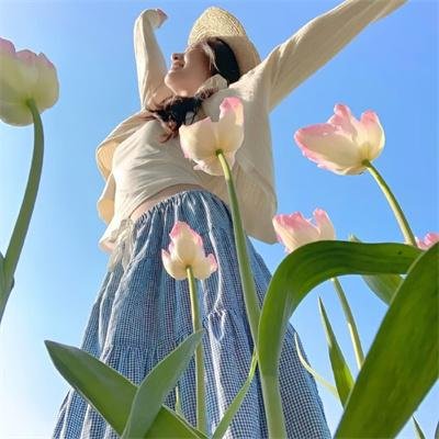 魔法老师剧场版 ANIME FINAL